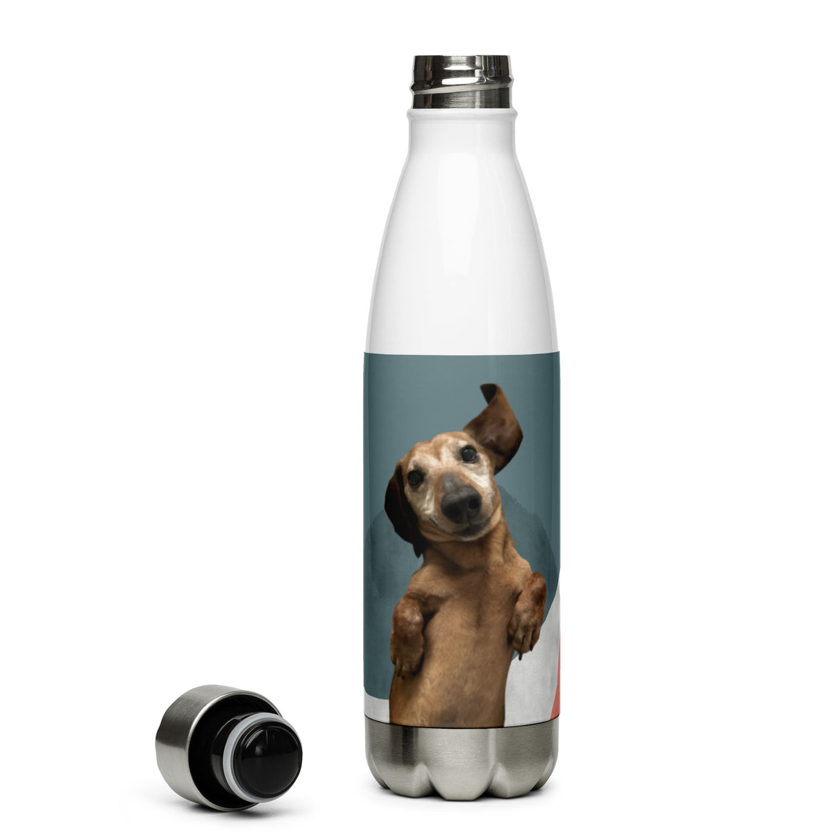 DYO Custom Stainless Steel Water Bottle